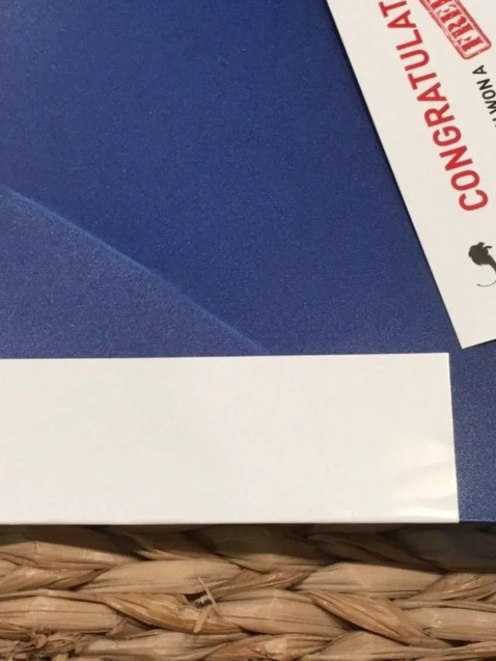 Power Place Personal Daily Planner Non-Dated 6 Months 8.5x11 Blue